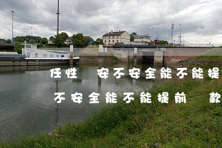 任性貸安不安全能不能提前還款-任性貸安不安全能不能提前還款呢