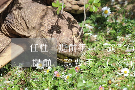 任性貸提前手動還款還有什么影響-任性貸提前還款要手續(xù)費嗎