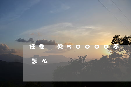 任性貸欠50000不還(任性貸還不了款該怎么辦)