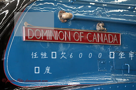 任性貸欠6000會坐牢嗎(任性貸6000額度)