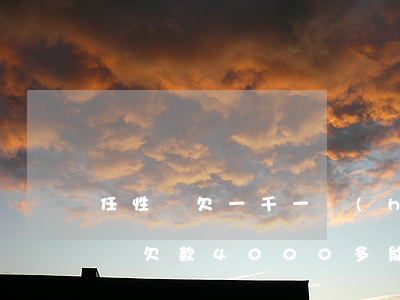 任性貸欠一千一會(huì)被起訴嗎(任性貸欠款4000多能立案嗎)