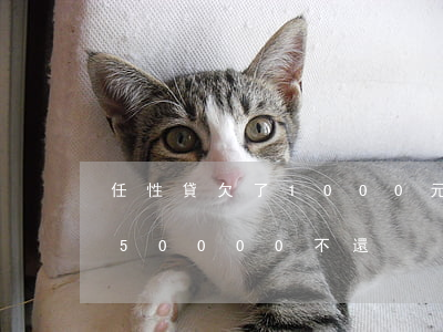 任性貸欠了1000元會被起訴嗎(任性貸欠50000不還)