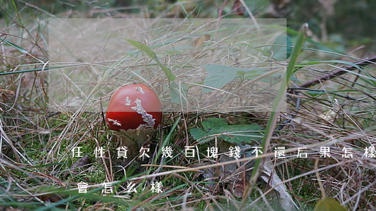 任性貸欠幾百塊錢不還后果怎樣(任性貸不還會怎么樣)