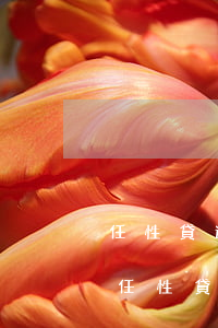 任性貸逾期一天就要發(fā)催繳單嗎-任性貸逾期一天就要發(fā)催繳單嗎為什么