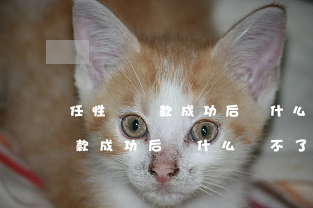 任性貸還款成功后為什么貸不了-任性貸還款成功后為什么貸不了款