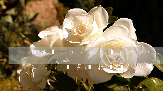 任性購(gòu)買(mǎi)逾期會(huì)給家屬打電話(huà)嗎-任性購(gòu)買(mǎi)逾期會(huì)給家屬打電話(huà)嗎知乎