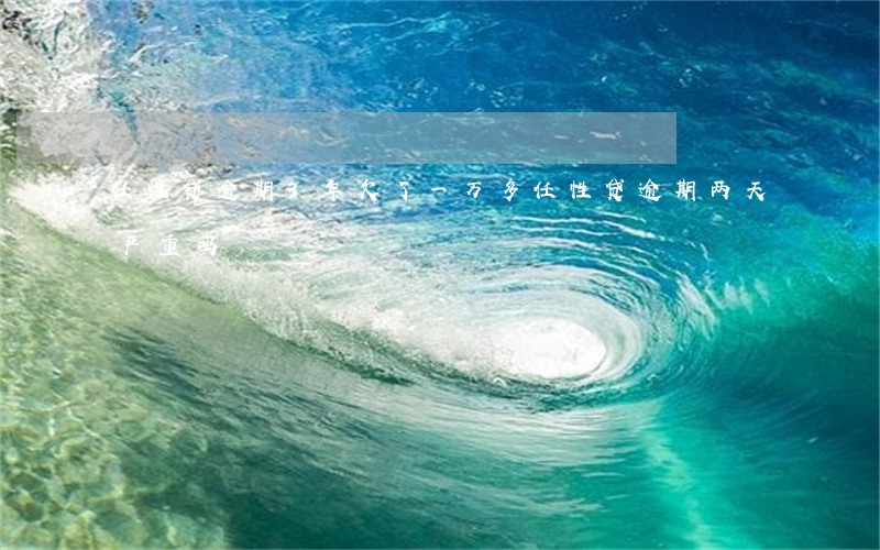 任性贷逾期3年欠了一万多(任性贷逾期两天严重吗?)