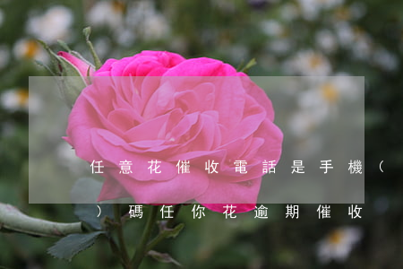 任意花催收電話是手機(jī)號(hào)碼（任你花逾期催收）