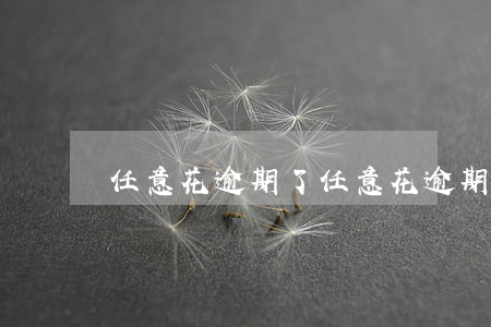 任意花逾期了（任意花逾期會被起訴嗎）