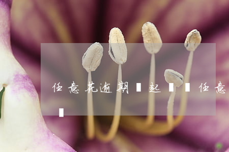 任意花逾期會起訴嗎(任意花逾期一天會怎么樣)
