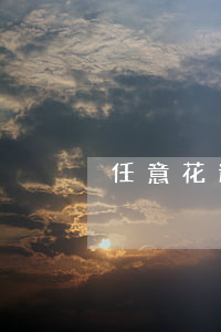 任意花逾期起訴(任意花逾期起訴)