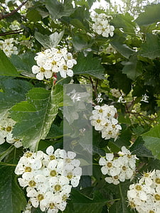 任易花逾期了怎么辦 云易花逾期