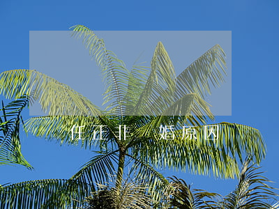 任正非離婚原因