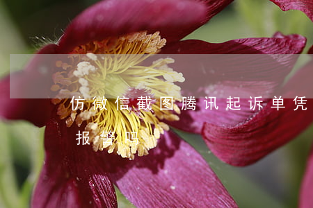 仿微信截图腾讯起诉(单凭微信截图可以起诉报警吗)
