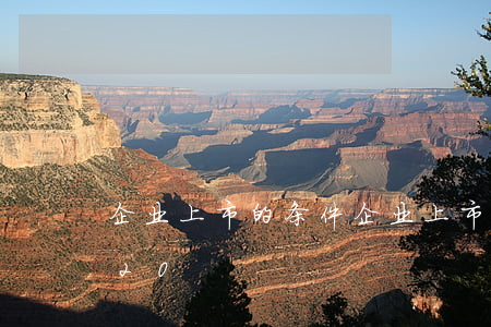 企业上市的条件(企业上市的条件和要求2020)