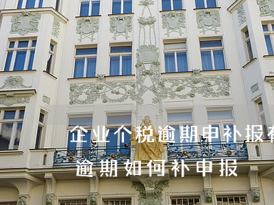 企业个税逾期申补报有什么影响-企业个税逾期如何补申报