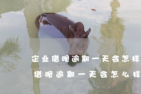 企业借呗逾期一天会怎样(借呗可以逾期多久?借呗逾期一天会怎么样(2))