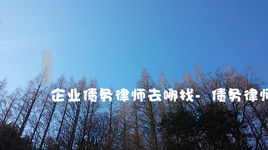 企业债务律师去哪找-债务律师咨询