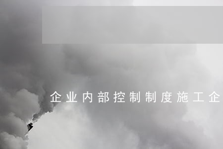 企业内部控制制度(施工企业内部控制制度)