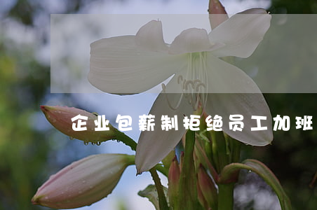 企业包薪制拒绝员工加班费是否合同