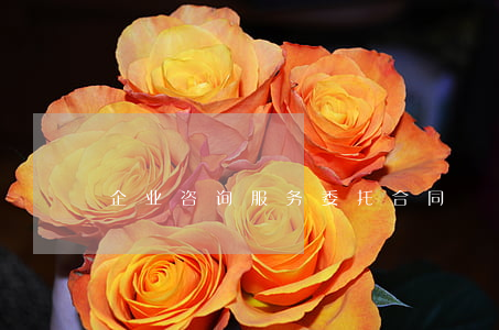 企业咨询服务委托合同