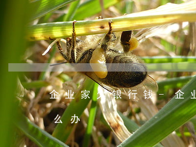 企业家欠银行钱-企业欠银行的钱还不起怎么办