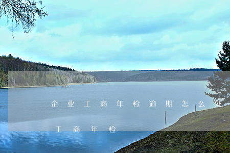 企业工商年检逾期怎么处理上海-上海公司工商年检