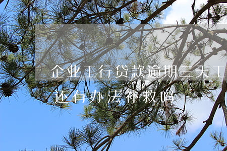 企业工行贷款逾期三天(工商银行贷款逾期了还有办法补救吗?)