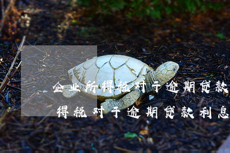 企业所得税对于逾期贷款利息收入-企业所得税对于逾期贷款利息收入的影响