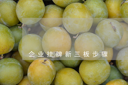 企业挂牌新三板步骤