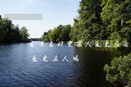 企业支付宝法人变更后逾期(企业支付宝可以变更法人吗)