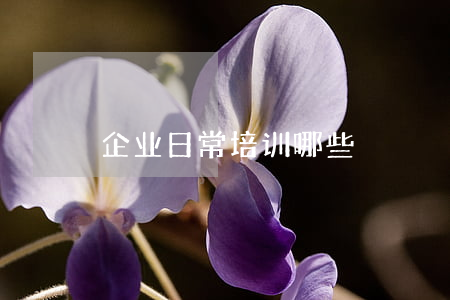 企业日常培训哪些