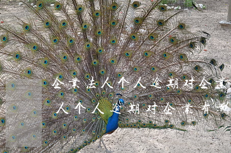 企业法人个人逾期对企业有影响么-企业法人个人逾期对企业有影响么吗
