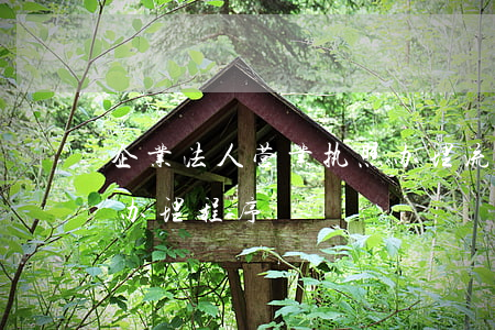 企业法人营业执照办理流程是什么（营业执照办理程序）