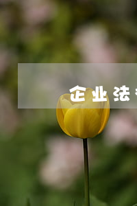 企业法律风险案例(企业法律风险防范ppt)