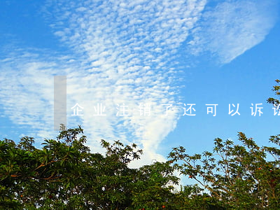 企业注销了还可以诉讼吗