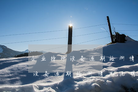 企业特种设备逾期检测情况说明-企业特种设备逾期检测情况说明怎么写