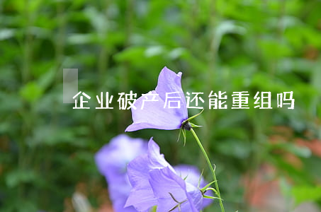 企业破产后还能重组吗