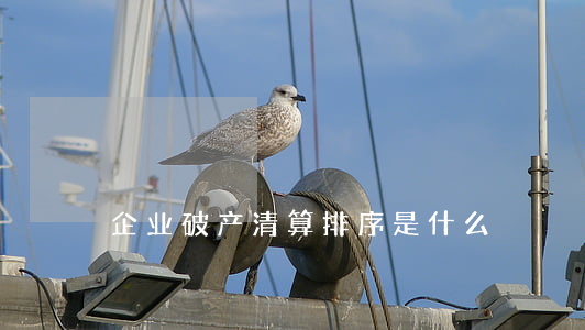 企业破产清算排序是什么