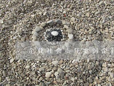 企业社会责任案例(企业社会责任案例分析论文)