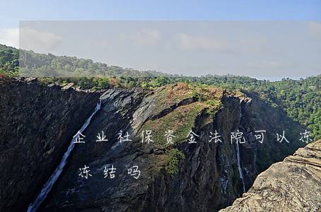 企业社保资金法院可以冻结吗(社保账户可以冻结吗)