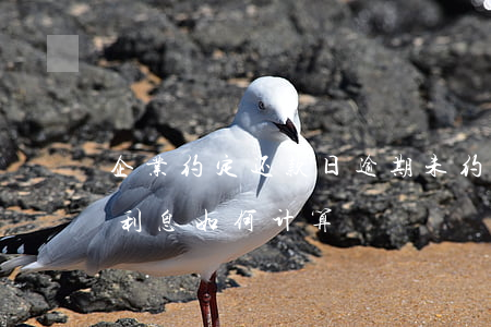 企业约定还款日逾期(未约定还款时间的逾期利息如何计算)