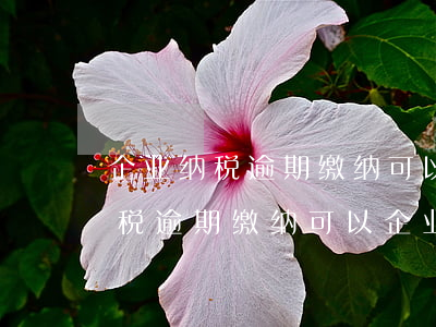 企业纳税逾期缴纳可以企业贷款吗-企业纳税逾期缴纳可以企业贷款吗
