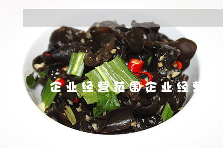 企业经营范围(企业经营范围怎么写)