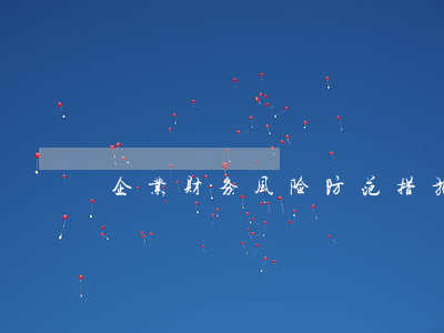 企业财务风险防范措施是什么