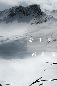 企业贷款利息逾期一天有影响吗-企业贷款利息逾期一天有影响吗知乎