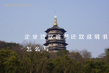 企业贷款逾期还款说明书(公司逾期还款说明怎么写)