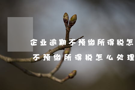 企业逾期不预缴所得税怎么处理-企业逾期不预缴所得税怎么处理的