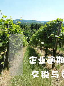 企业逾期交税与负责任有关系吗-企业逾期交税与负责任有关系吗知乎