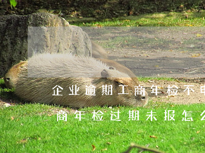 企业逾期工商年检不申报怎么处理-企业工商年检过期未报怎么办